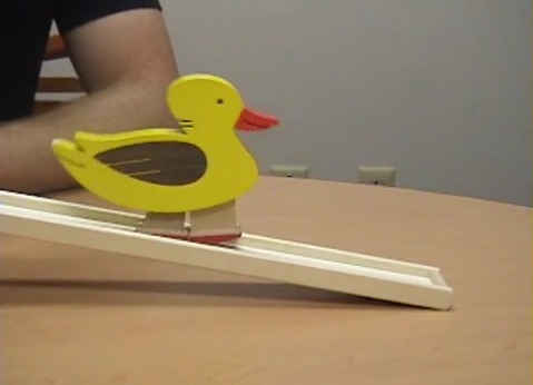 waddle duck toy